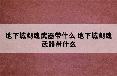 地下城剑魂武器带什么 地下城剑魂武器带什么